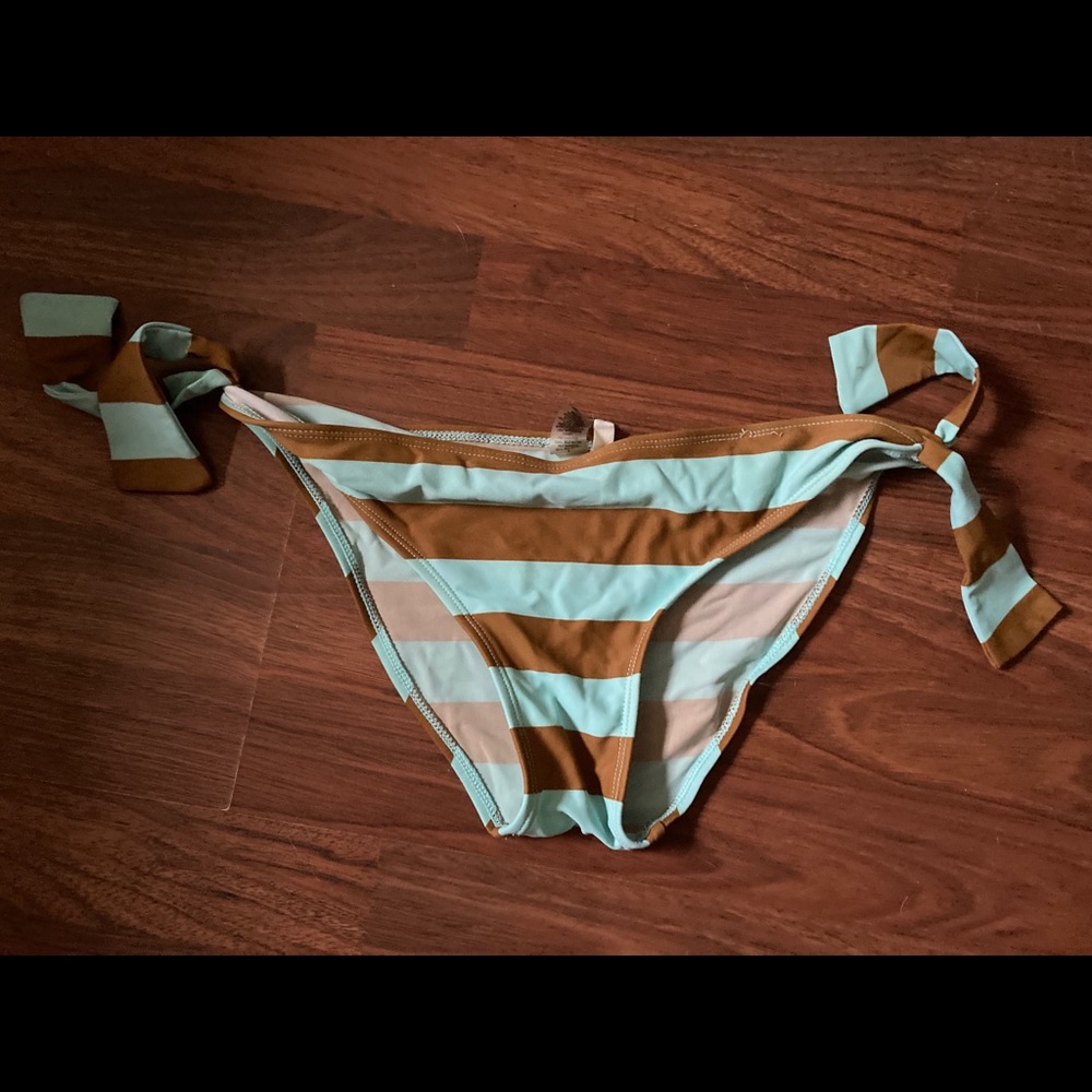 Teal and Brown Striped Bikini Bottom